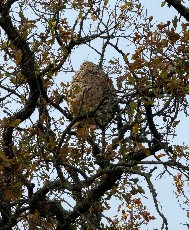 avis S&eacute;r&eacute;nit&eacute; & Confort 