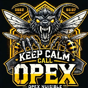 Recherchez un bon dratiseur