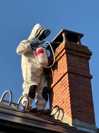  JG Destruction Nuisibles en action ! <br />
Aujourdhui, intervention sur un nid de frelons dans un conduit de cheminée <br />
Une opération délicate menée avec professionnalisme pour sécuriser les habitants<br />
 Vous avez repéré des frelons ou guêpes chez vous ? Ne prenez pas de risques, contactez JG Destruction Nuisibles !<br />
#JGDestructionNuisibles #Frelons #NidDeFrelons #UrgenceNuisibles #DestructionNuisibles #Guêpes #InterventionRapide #Sécurité